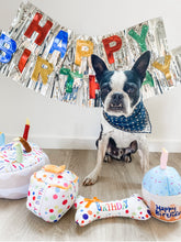 Load image into Gallery viewer, Pet birthday celebration
