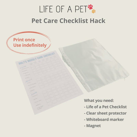 Life of a Pet Checklist video