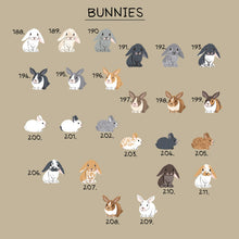 Load image into Gallery viewer, Life of a Pet Rabbit Chart
