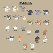 Load image into Gallery viewer, Bunny numbers
