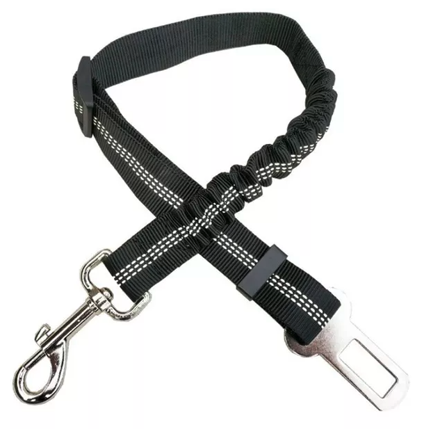 Black dog seat belt