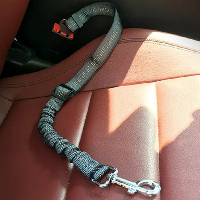 Grey dog seat belt